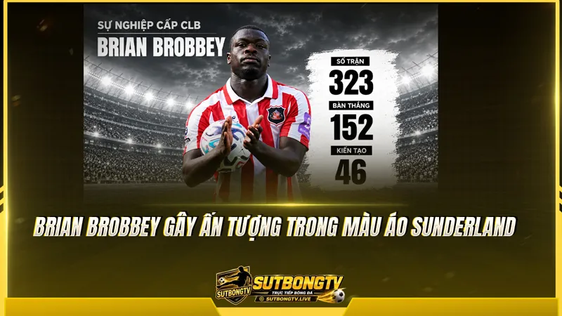 Brian Brobbey gây ấn tượng trong màu áo Sunderland Brian Brobbey gây ấn tượng trong màu áo Sunderland